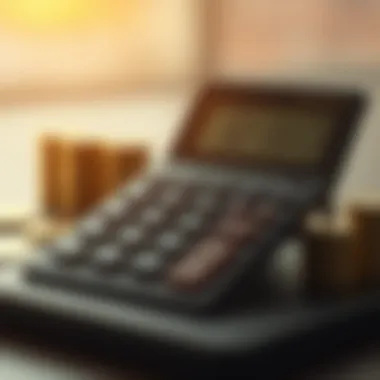 Visualizing the use of a dividend calculator